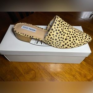 STEVE MADDEN Cairo Mule Size 9.5